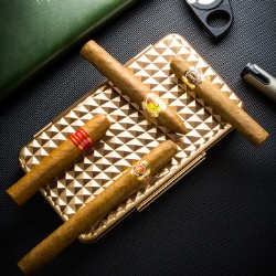 5 count AL Travel Humidor Case